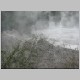 Rotorua 013.jpg